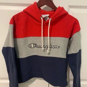 Champion Sweater